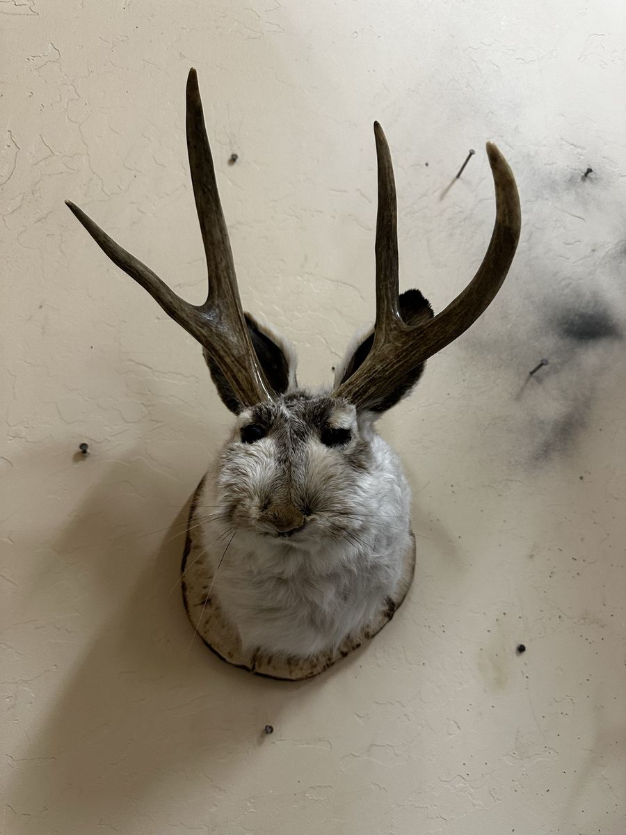 Main image 4