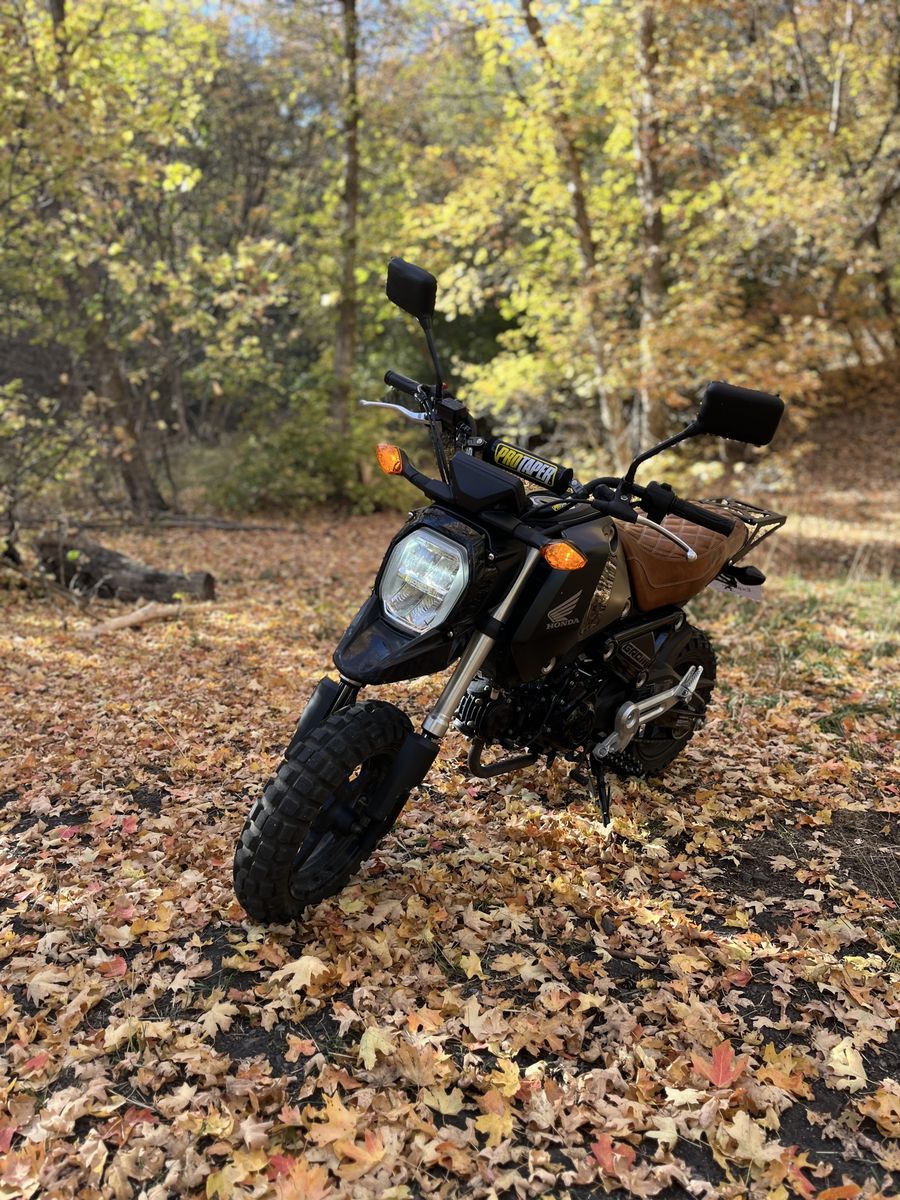 2023 Honda Grom | Low Miles | Clean | Upgraded Exhaust