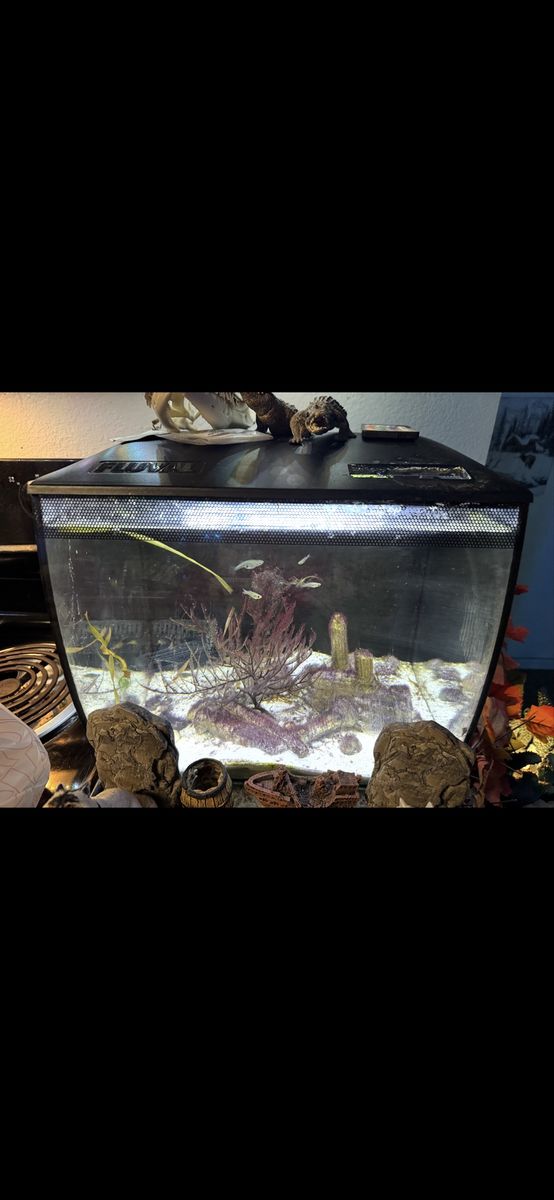 Fluval aquarium 9 gallon