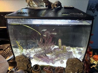 Fluval aquarium 9 gallon