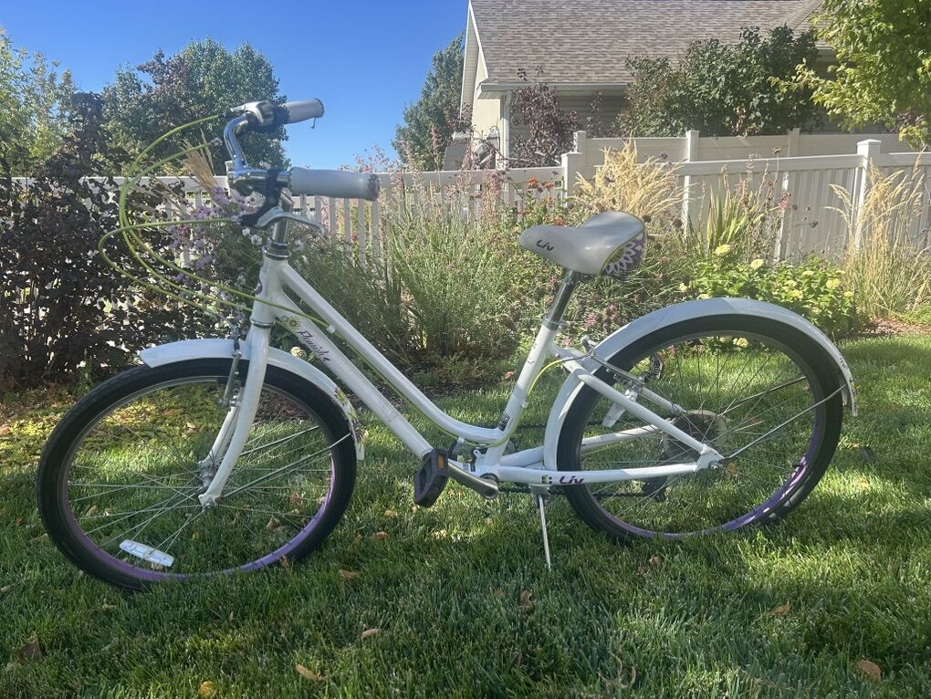 Liv Flourish, 24 Wheel Cruiser