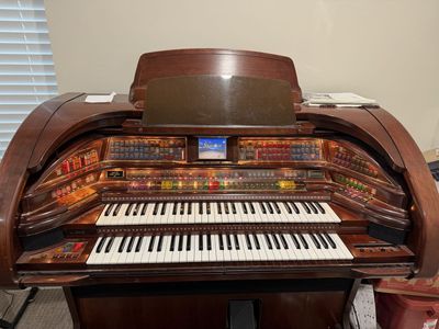 Lowery stardust deluxe electric organ (light use)