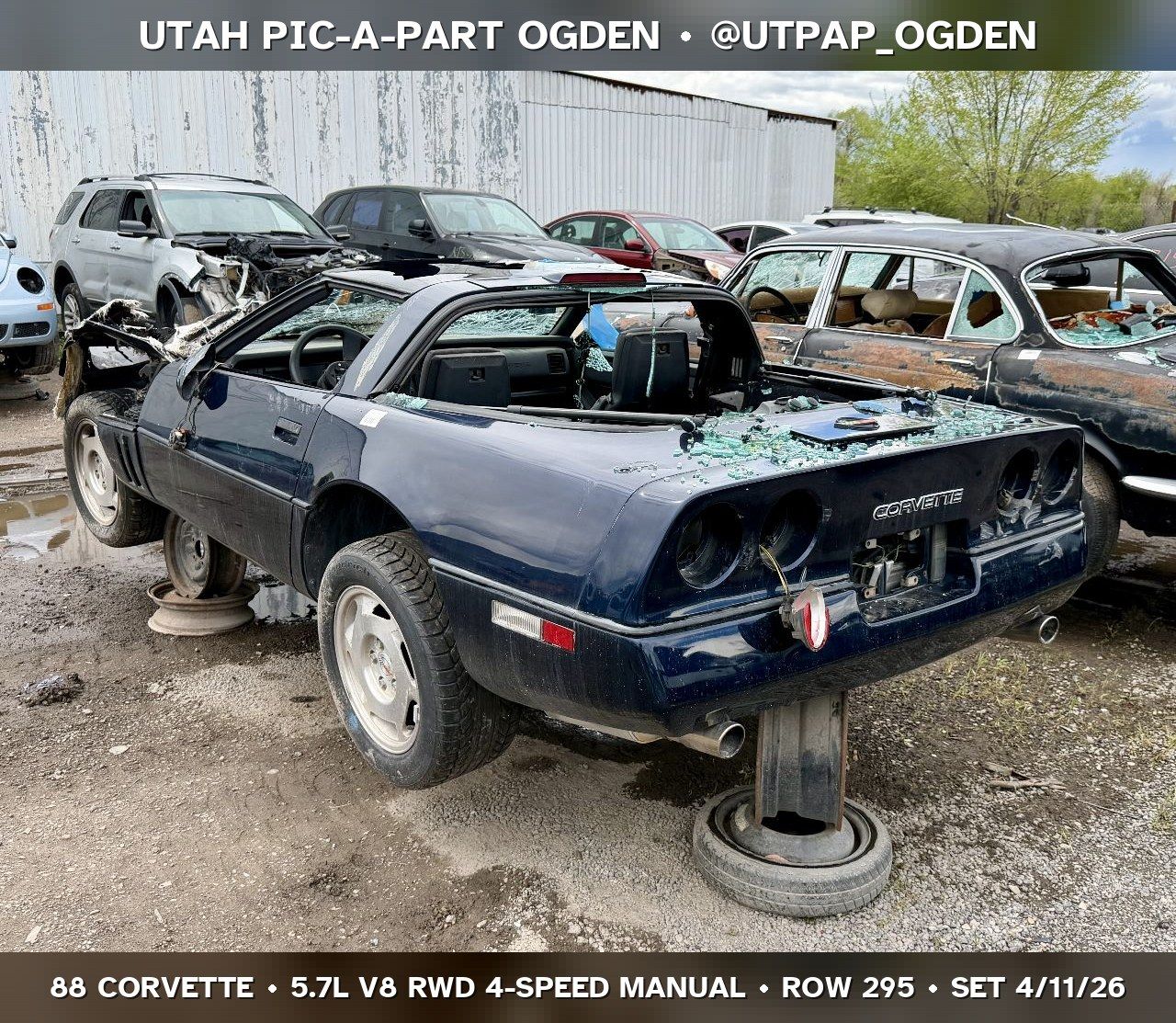 Main image 7