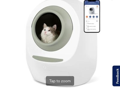 Cat litter