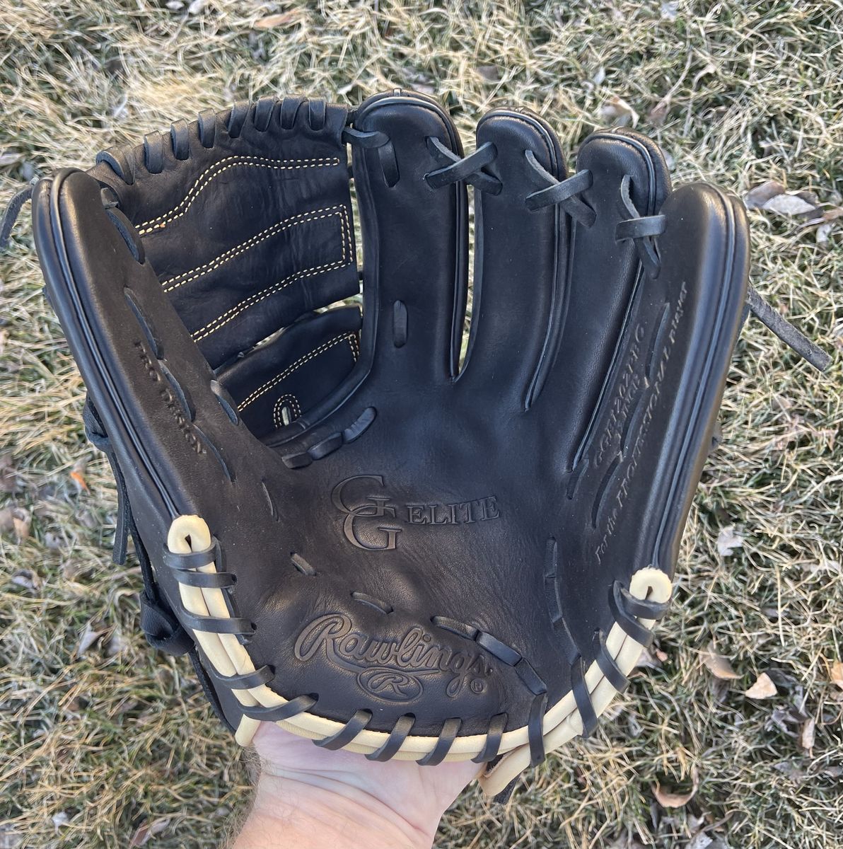 Rawlings Gold Glove Elite 12 in. Baseball/ Softball Glove