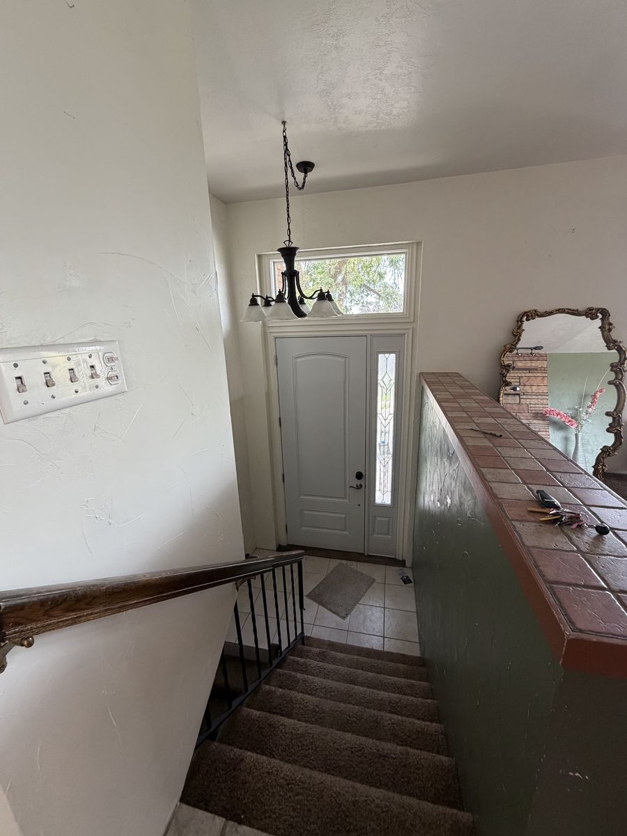 Main image 5