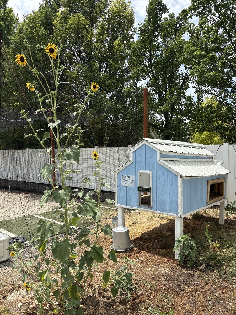 Main image 3