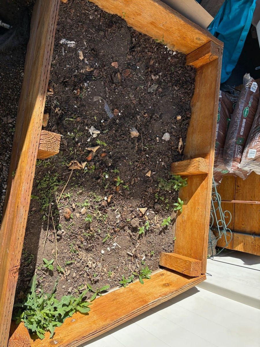 5x3.5 wood garden bed and soil