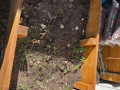5x3.5 wood garden bed and soil