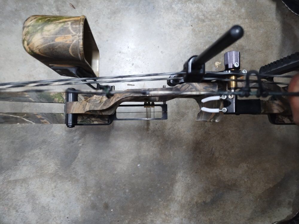 hoyt compound bow