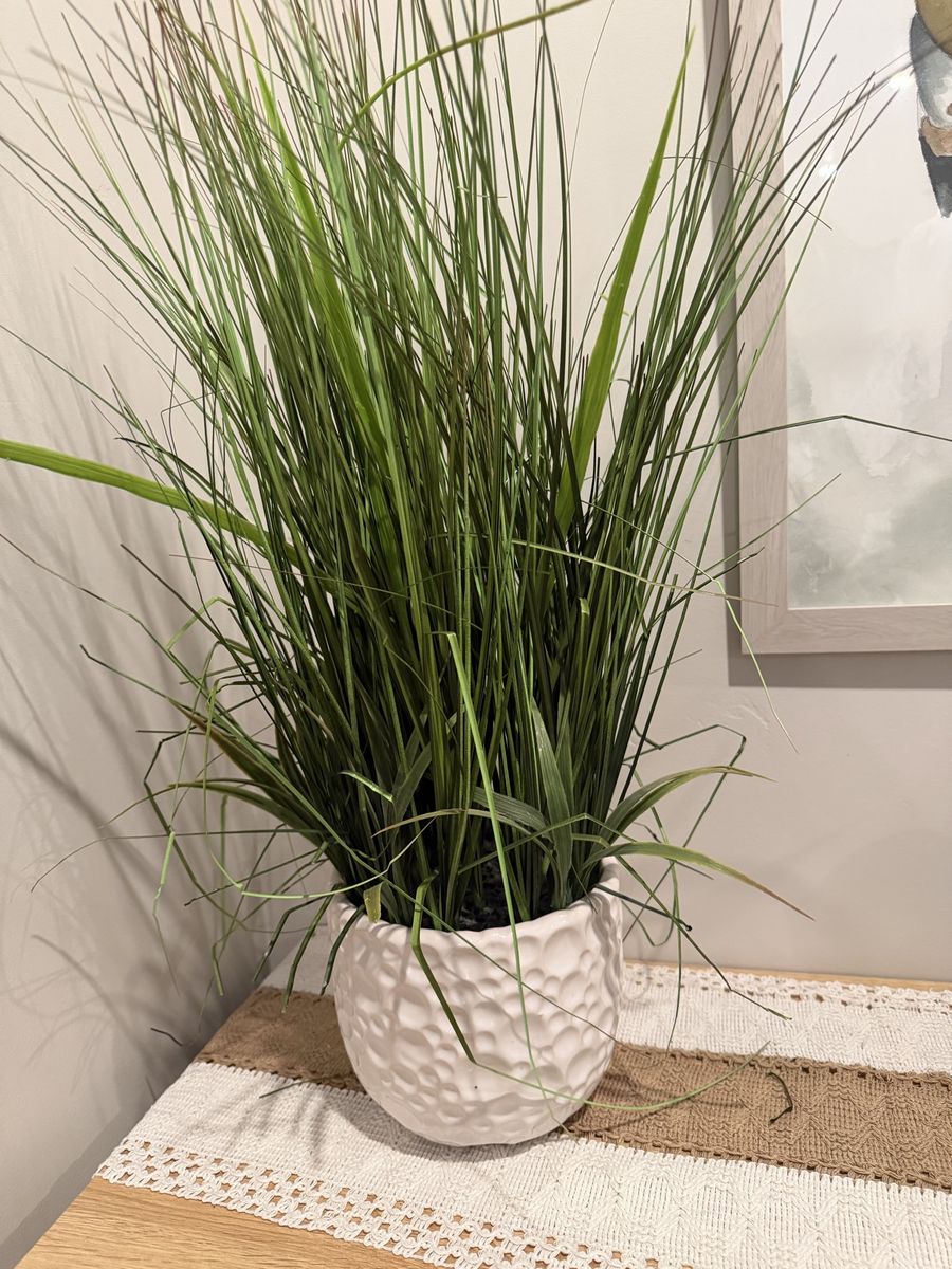 Faux grasses plant