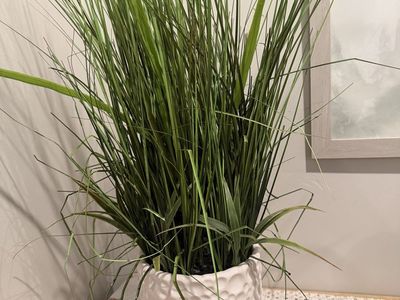 Faux grasses plant