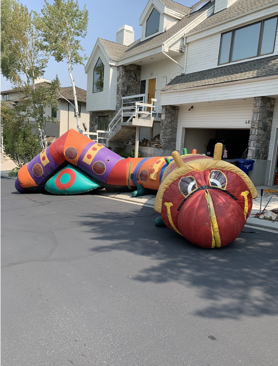 Giant Inflatable Caterpillar Tunnel — Commercial Party Bounce House