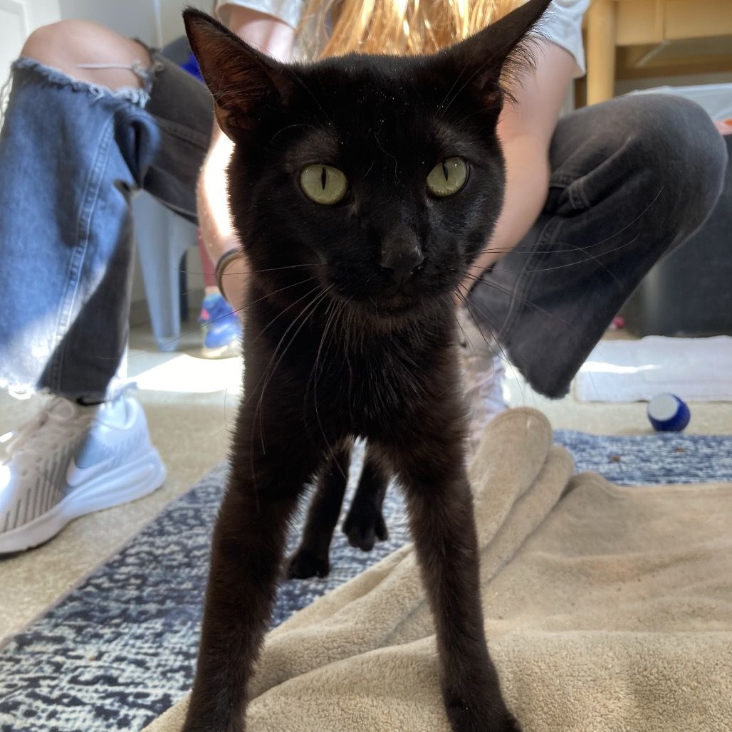 Hello my name is Holden