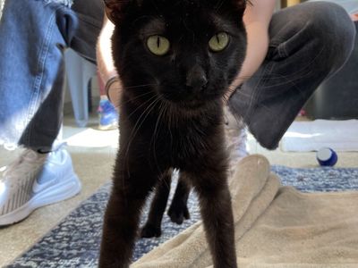 Hello my name is Holden