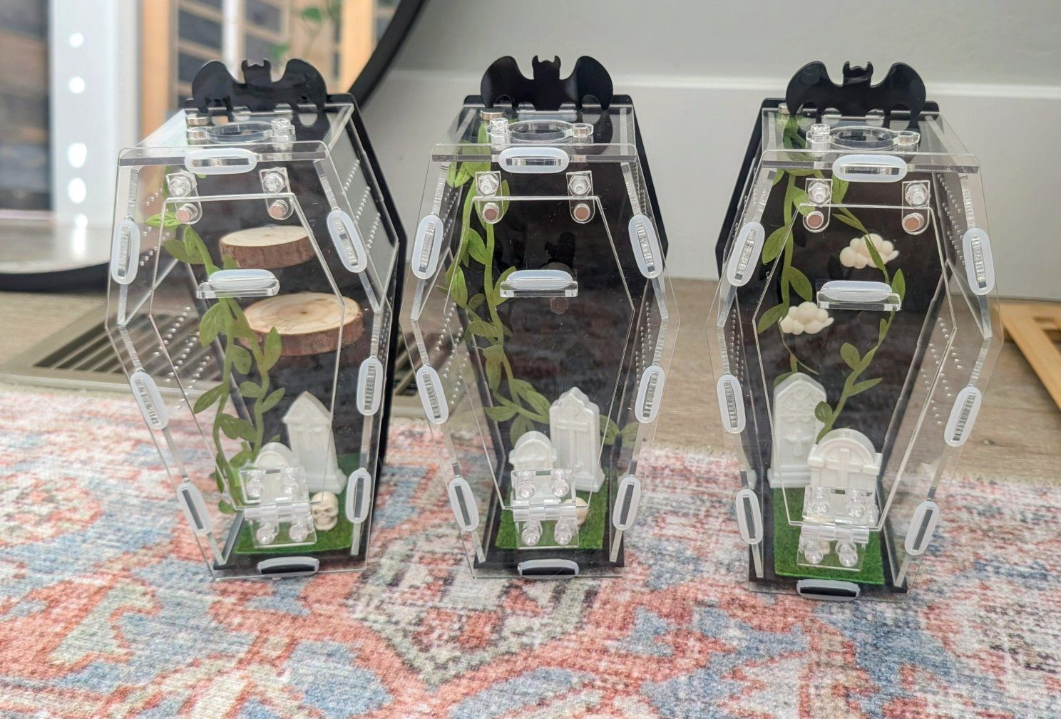 Jumping spider enclosure, spider terrarium, spider house accessories. No spider