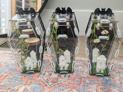 Jumping spider enclosure, spider terrarium, spider house accessories. No spider