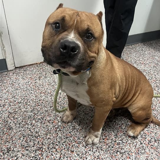 Hello my name is Zach