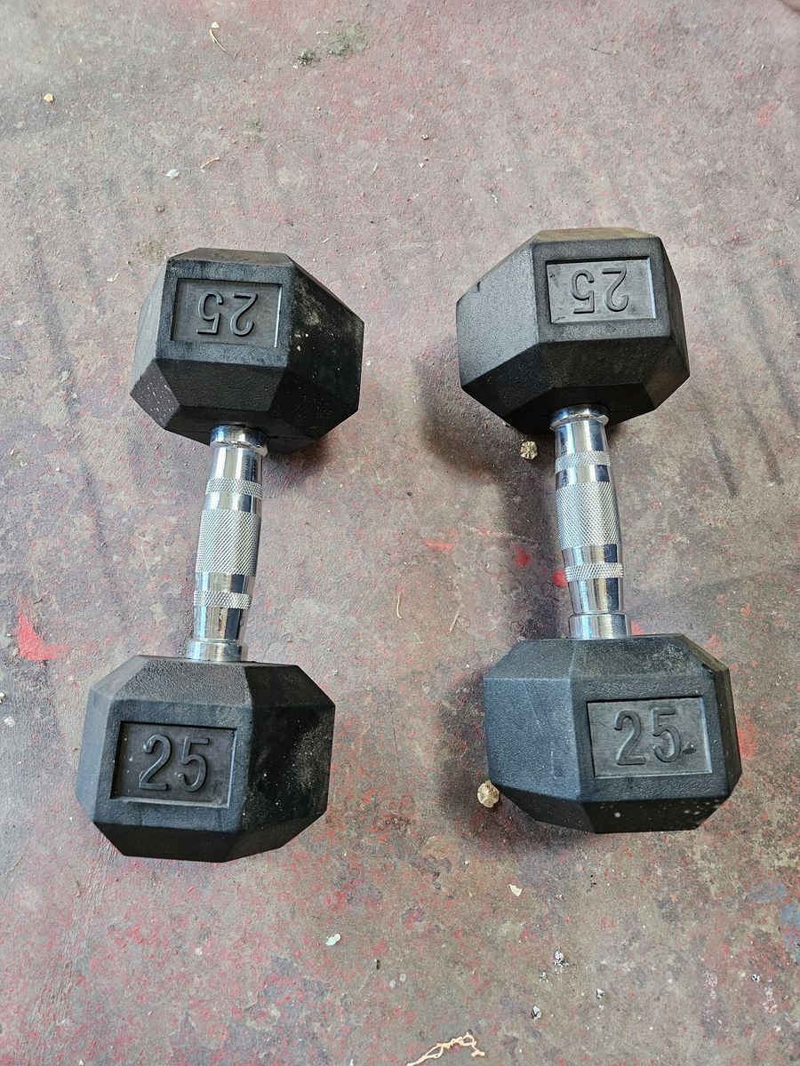 25 lb Dumbbells