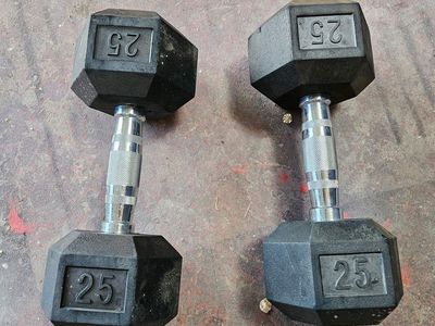 25 lb Dumbbells