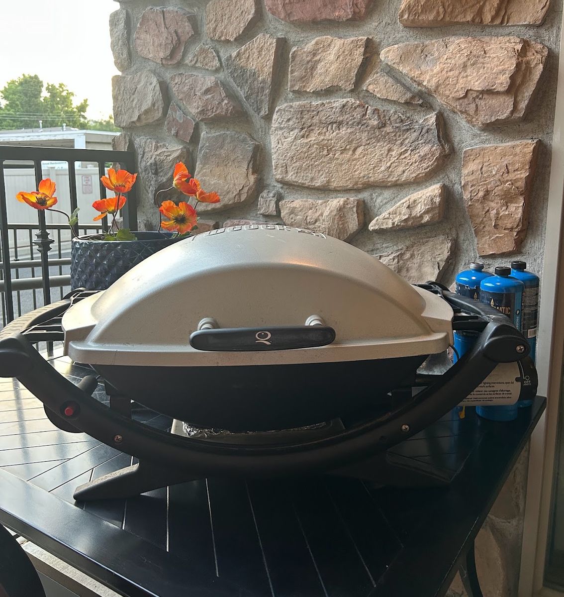 Weber Q Series Portable Liquid Propane Gas Grill with Fold-Out Side Tables