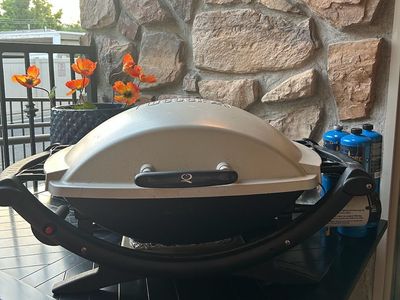 Weber Q Series Portable Liquid Propane Gas Grill with Fold-Out Side Tables