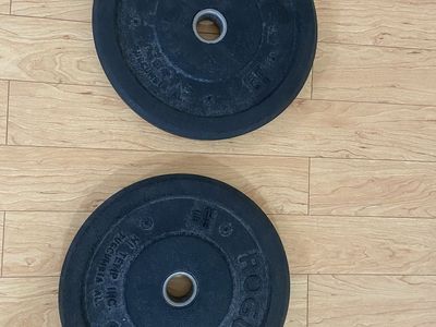 Pair of Rogue Fitness Hi-Temp 25 lb Rubber Bumper Plates