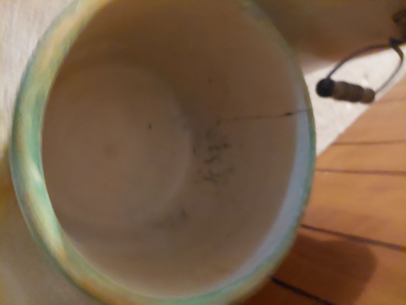 Main image 7