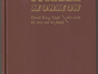 Arizona Pioneer Mormon David King Udall His Story and His Family 1851-1938