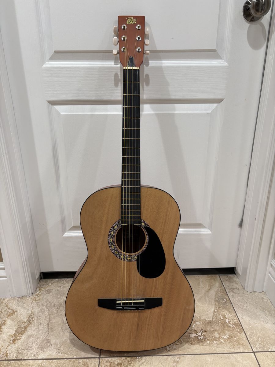 Rogue acoustic guitar.  