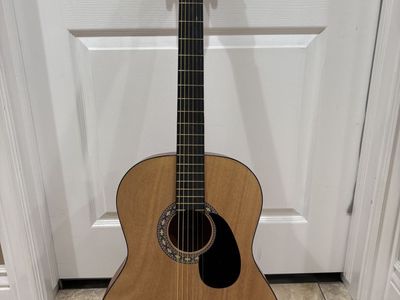 Rogue acoustic guitar.