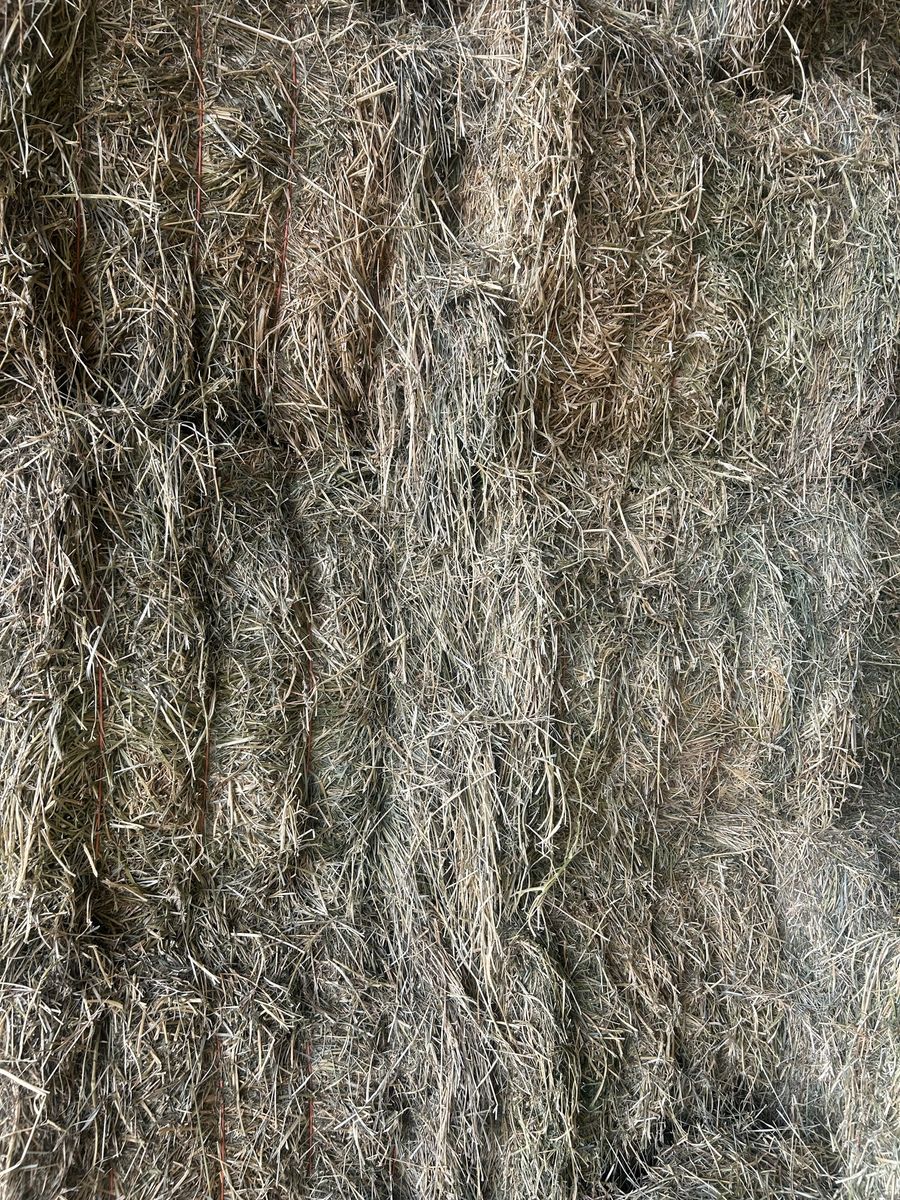 3x3 Grass Alfalfa Mix