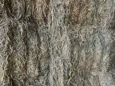 3x3 Grass Alfalfa Mix