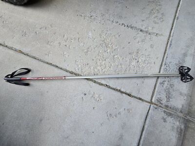 Rossignol 62 inch ski sticks