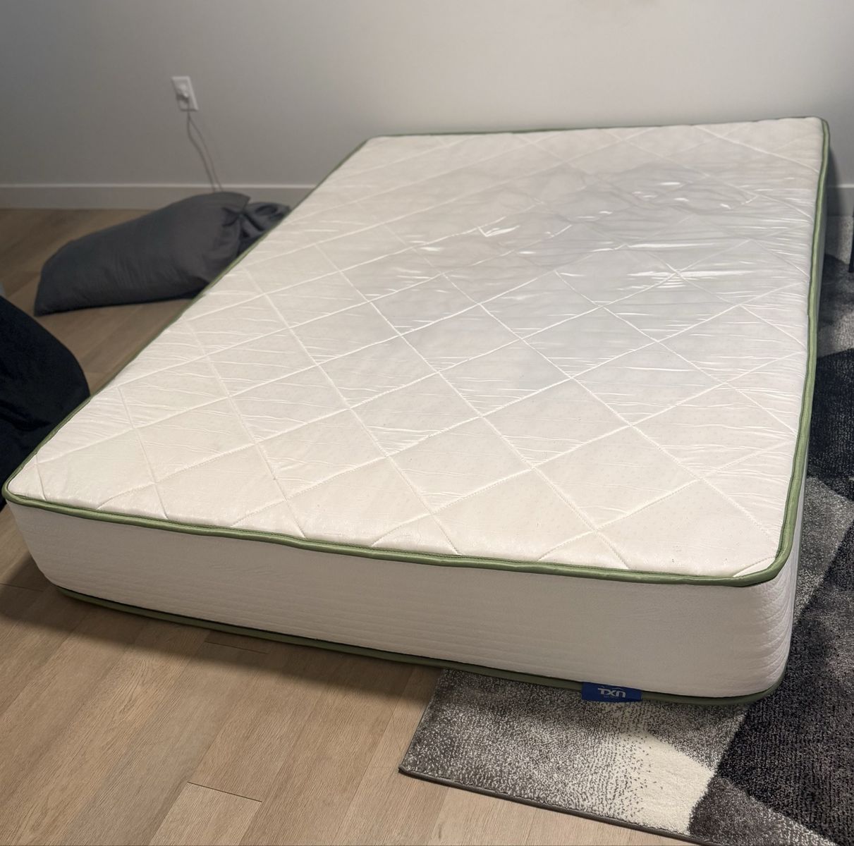 Queen size Mattress (free)
