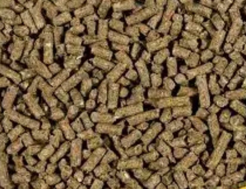 Rabbit feed food 8 gallons Feed Pellets - General Animal Nutrition