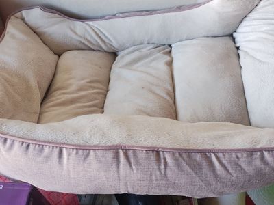 Doggie Bed