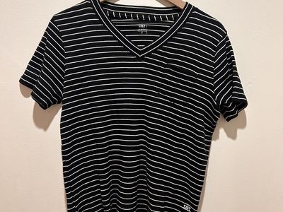 Albion Fit Black with White Stripes V-Neck Shirt