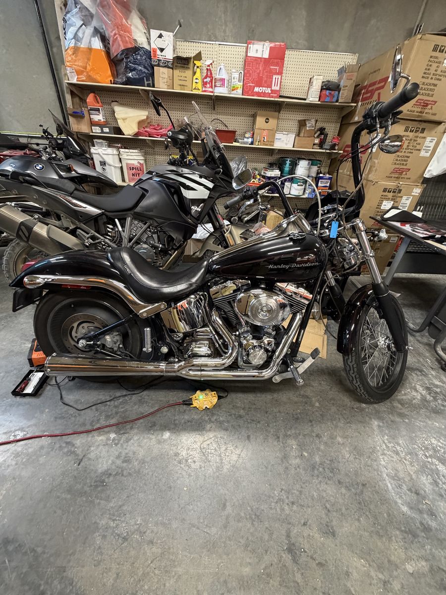2001 Harley-Davidson Softail Motorcycle - Black, Chrome Accents