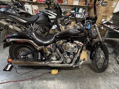 2001 Harley-Davidson Softail Motorcycle - Black, Chrome Accents