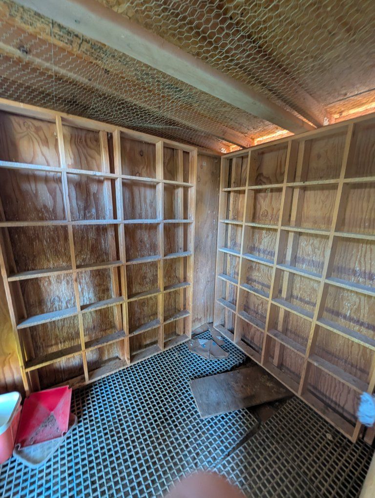 Free Pigeon Loft