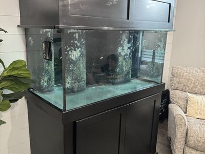 Complete Saltwater Reef Tank System 120