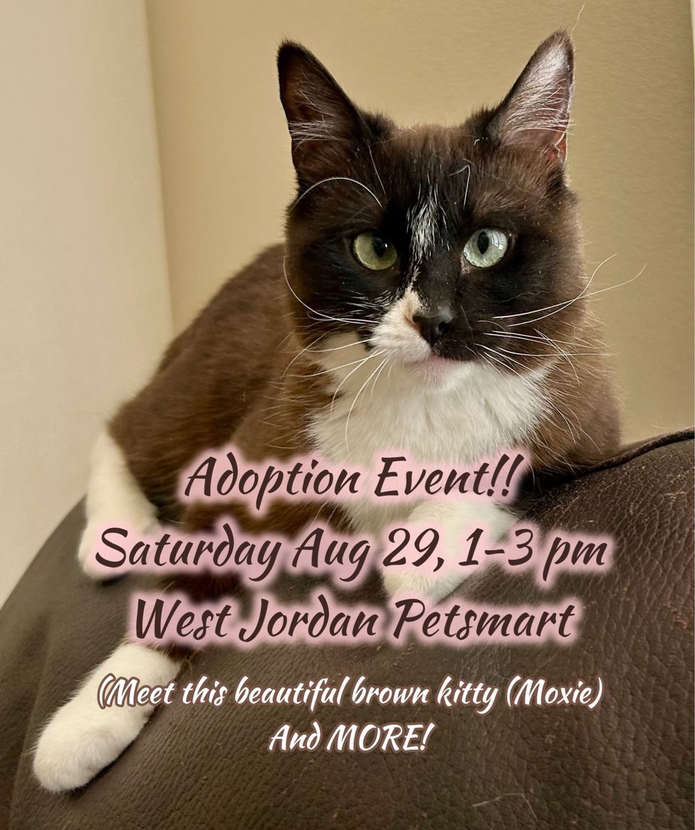 Adoption EVENT! (Today! Saturday Aug 29th)