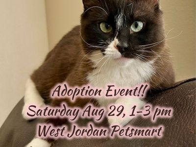 Adoption EVENT! (Today! Saturday Aug 29th)