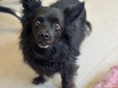 Hello my name is Marley