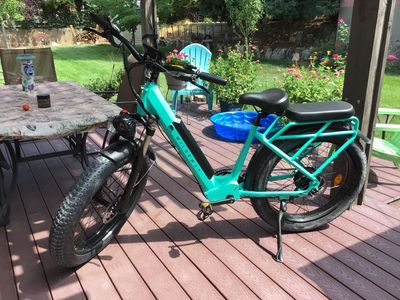 New Wildeways E-bike