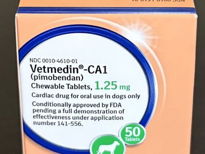 Dog Prescription Medication