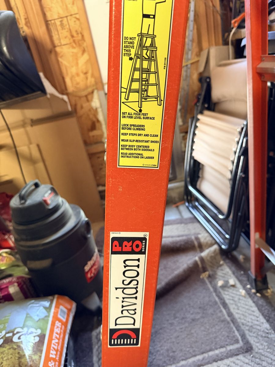 Davidson Pro 6 foot a-frame ladder.