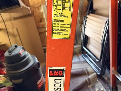 Davidson Pro 6 foot a-frame ladder.