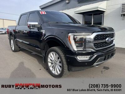 2021 Ford F-150 Platinum